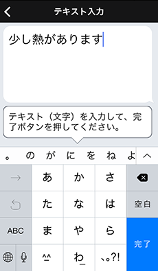 VoiceTra画面　テキスト入力画面